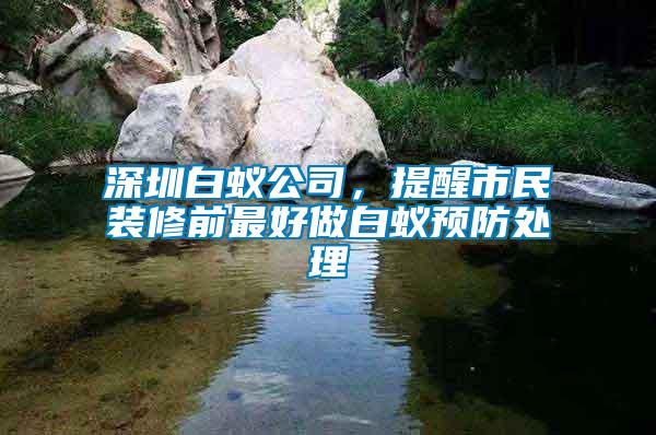 深圳白蟻公司，提醒市民裝修前最好做白蟻預防處理