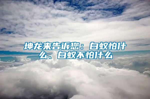 坤龍來告訴您：白蟻怕什么、白蟻不怕什么