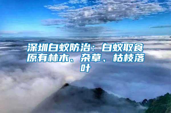 深圳白蟻防治：白蟻取食原有林木、雜草、枯枝落葉