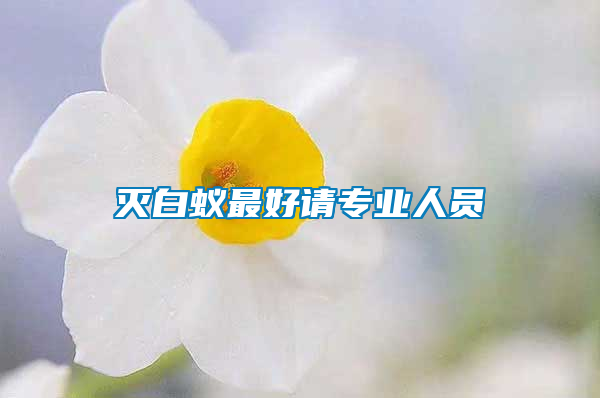 滅白蟻?zhàn)詈谜?qǐng)專(zhuān)業(yè)人員