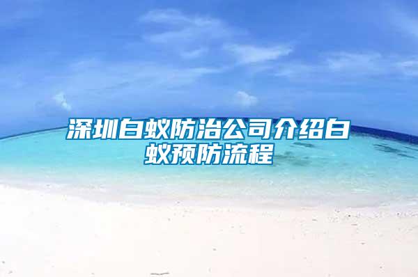 深圳白蟻防治公司介紹白蟻預(yù)防流程