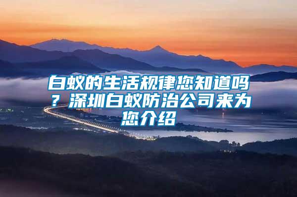 白蟻的生活規(guī)律您知道嗎？深圳白蟻防治公司來為您介紹