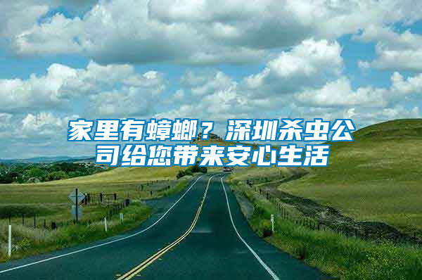 家里有蟑螂？深圳殺蟲公司給您帶來安心生活