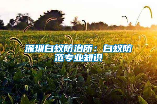 深圳白蟻防治所：白蟻防范專業(yè)知識