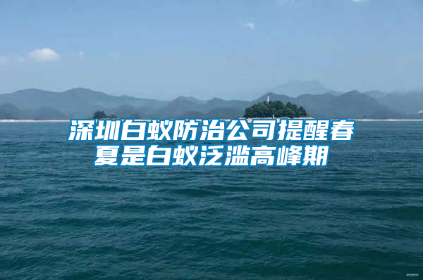 深圳白蟻防治公司提醒春夏是白蟻泛濫高峰期