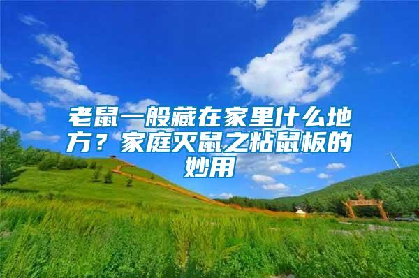 老鼠一般藏在家里什么地方？家庭滅鼠之粘鼠板的妙用