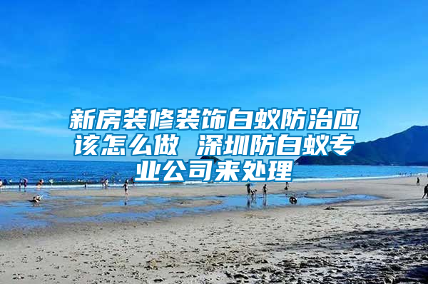 新房裝修裝飾白蟻防治應該怎么做 深圳防白蟻專業(yè)公司來處理