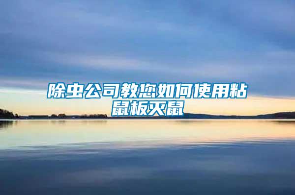 除蟲公司教您如何使用粘鼠板滅鼠