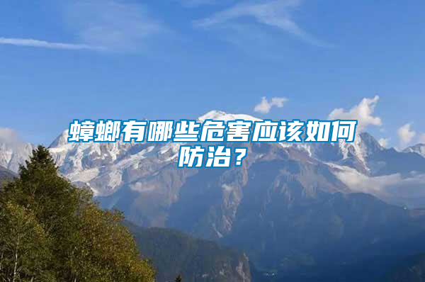 蟑螂有哪些危害應該如何防治？