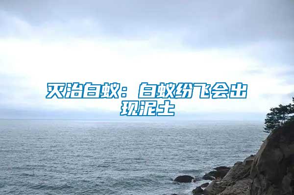 滅治白蟻：白蟻紛飛會出現泥土