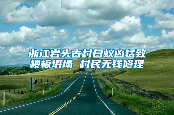 浙江巖頭古村白蟻兇猛致樓板坍塌 村民無(wú)錢(qián)修理