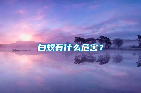 白蟻有什么危害？