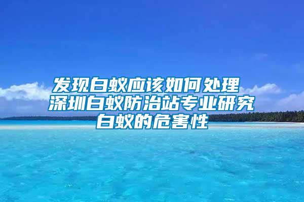 發(fā)現(xiàn)白蟻應(yīng)該如何處理 深圳白蟻防治站專業(yè)研究白蟻的危害性