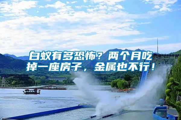 白蟻有多恐怖？?jī)蓚€(gè)月吃掉一座房子，金屬也不行！