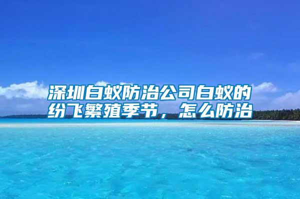 深圳白蟻防治公司白蟻的紛飛繁殖季節(jié)，怎么防治