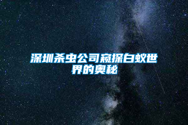 深圳殺蟲公司窺探白蟻世界的奧秘