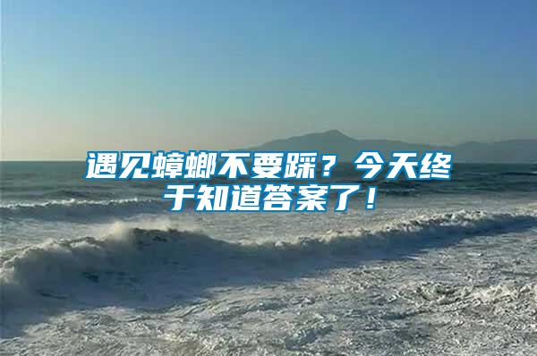 遇見蟑螂不要踩？今天終于知道答案了！