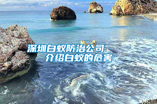 深圳白蟻防治公司    介紹白蟻的危害