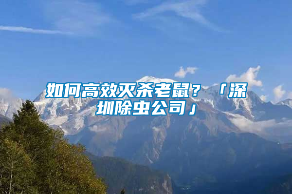 如何高效滅殺老鼠？「深圳除蟲公司」