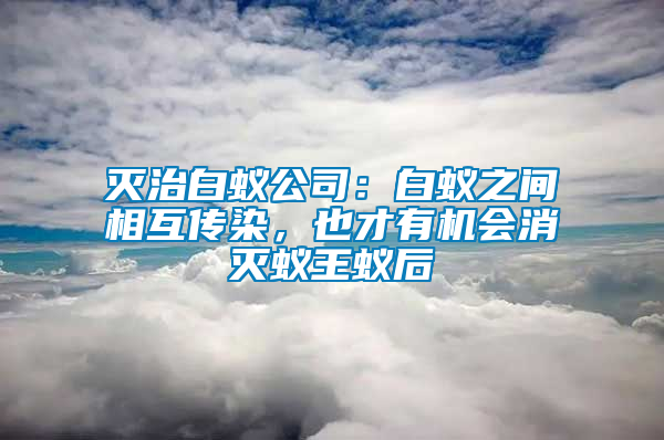 滅治白蟻公司：白蟻之間相互傳染，也才有機(jī)會(huì)消滅蟻王蟻后