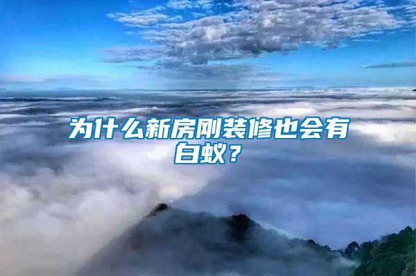 為什么新房剛裝修也會(huì)有白蟻？