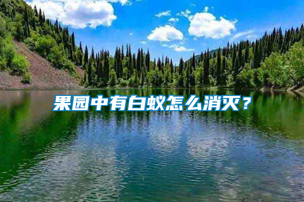 果園中有白蟻怎么消滅？