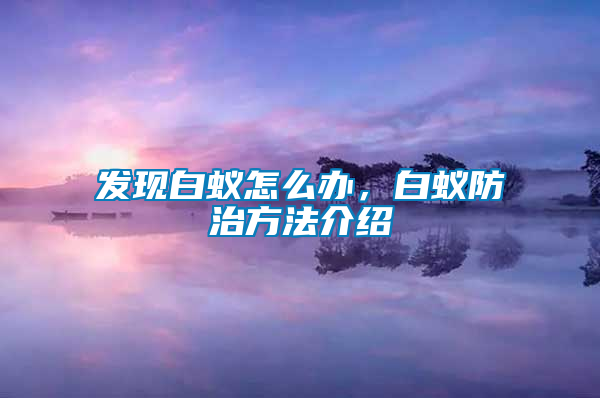 發(fā)現(xiàn)白蟻怎么辦，白蟻防治方法介紹