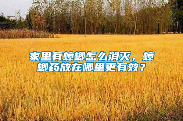 家里有蟑螂怎么消滅，蟑螂藥放在哪里更有效？