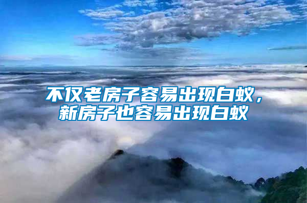 不僅老房子容易出現(xiàn)白蟻，新房子也容易出現(xiàn)白蟻