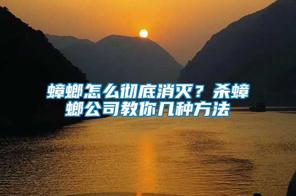 蟑螂怎么徹底消滅？殺蟑螂公司教你幾種方法