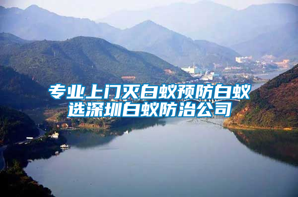 專業(yè)上門滅白蟻預(yù)防白蟻選深圳白蟻防治公司