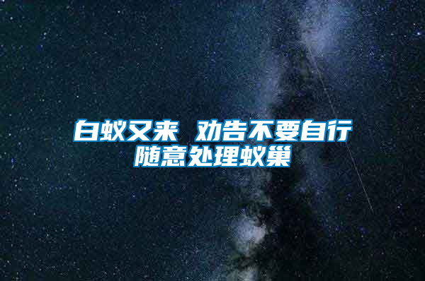 白蟻又來(lái) 勸告不要自行隨意處理蟻巢