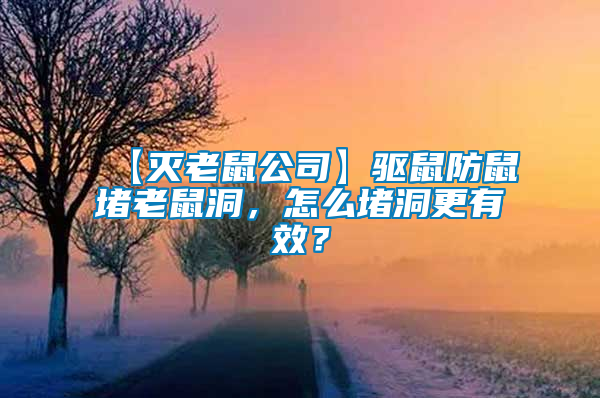 【滅老鼠公司】驅(qū)鼠防鼠堵老鼠洞，怎么堵洞更有效？