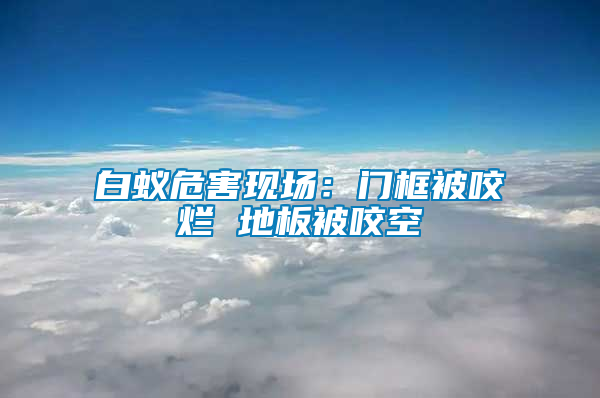 白蟻危害現(xiàn)場(chǎng)：門(mén)框被咬爛 地板被咬空