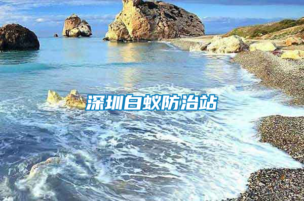 深圳白蟻防治站