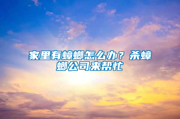 家里有蟑螂怎么辦？殺蟑螂公司來幫忙