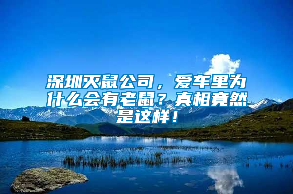 深圳滅鼠公司，愛車?yán)餅槭裁磿欣鲜?？真相竟然是這樣！