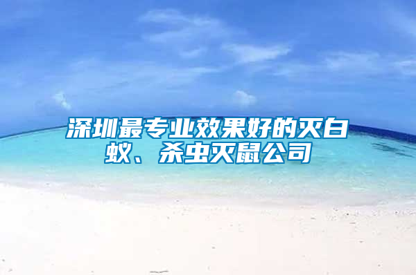 深圳最專業(yè)效果好的滅白蟻、殺蟲滅鼠公司