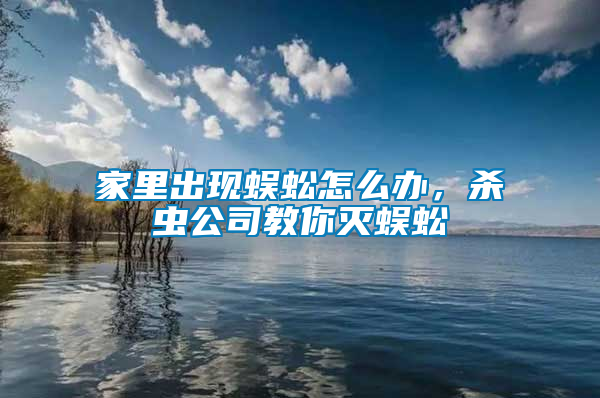 家里出現(xiàn)蜈蚣怎么辦，殺蟲公司教你滅蜈蚣