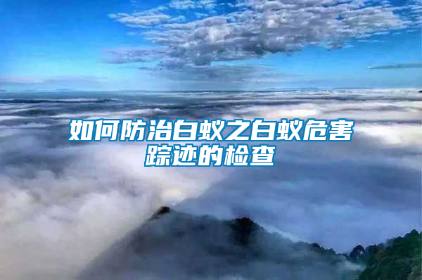 如何防治白蟻之白蟻危害蹤跡的檢查