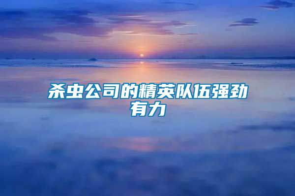 殺蟲公司的精英隊(duì)伍強(qiáng)勁有力