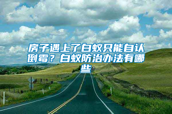 房子遇上了白蟻只能自認(rèn)倒霉？白蟻防治辦法有哪些