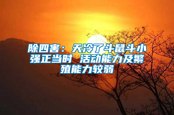 除四害：天冷了斗鼠斗小強(qiáng)正當(dāng)時(shí) 活動(dòng)能力及繁殖能力較弱