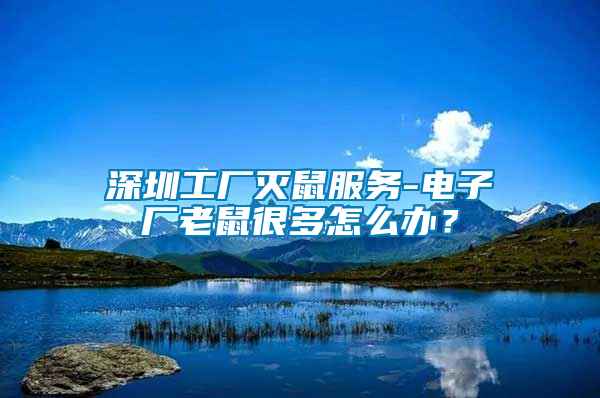 深圳工廠滅鼠服務(wù)-電子廠老鼠很多怎么辦？