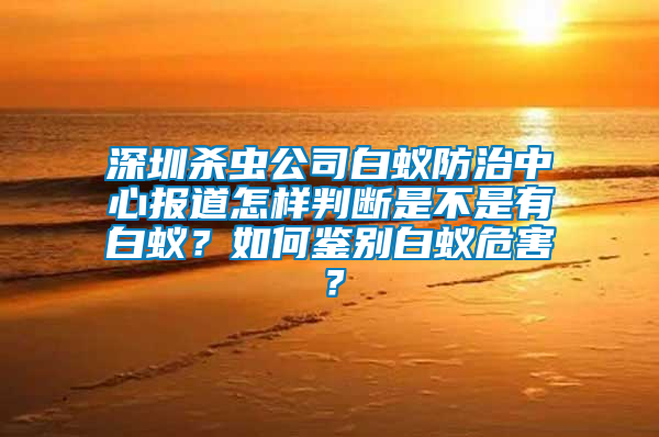 深圳殺蟲公司白蟻防治中心報(bào)道怎樣判斷是不是有白蟻？如何鑒別白蟻危害？