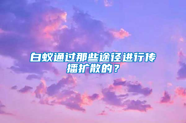 白蟻通過那些途徑進行傳播擴散的？