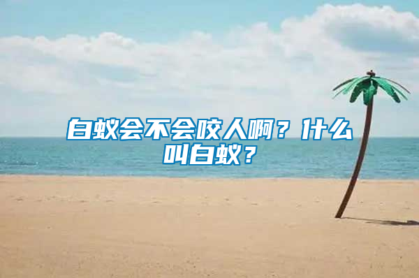 白蟻會(huì)不會(huì)咬人啊？什么叫白蟻？