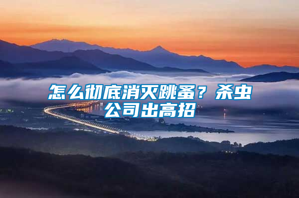 怎么徹底消滅跳蚤？殺蟲公司出高招