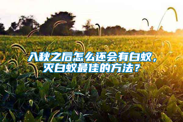 入秋之后怎么還會有白蟻，滅白蟻?zhàn)罴训姆椒ǎ?/></p>
             <p style=