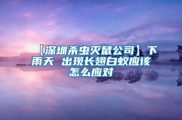 【深圳殺蟲滅鼠公司】下雨天 出現(xiàn)長翅白蟻應(yīng)該怎么應(yīng)對